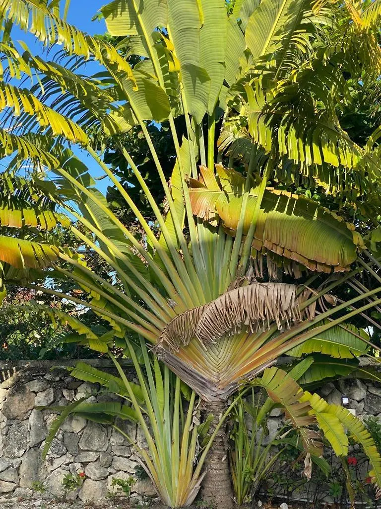 Bavaro Escape Punta Cana 0*,